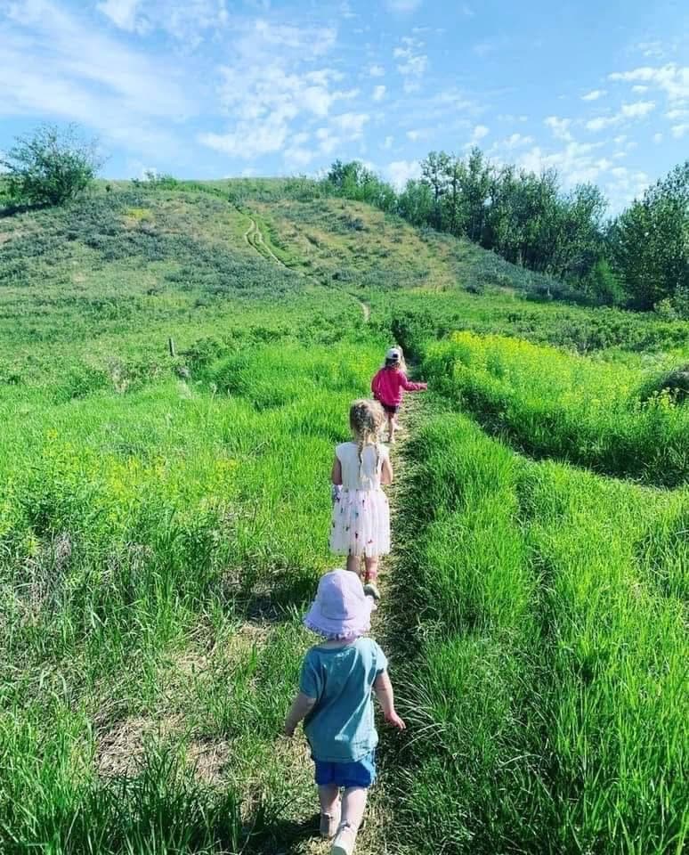 outdoors activity with children playing