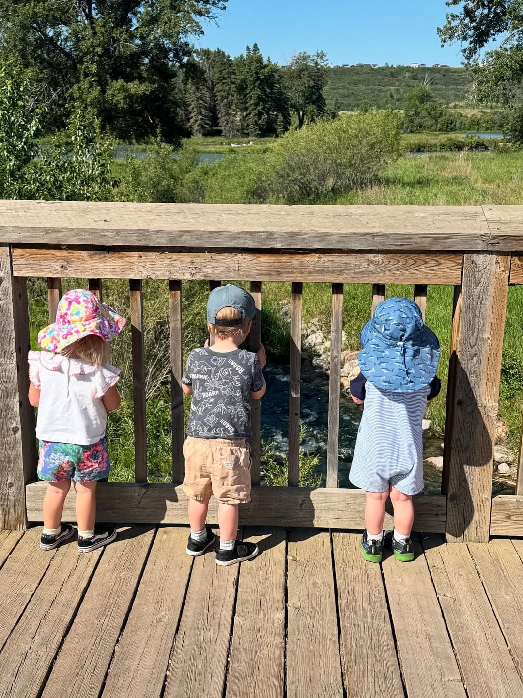 outdoors activity with children playing